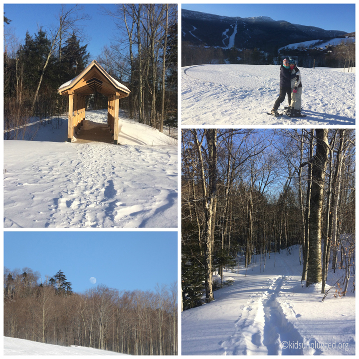 snowshoeing