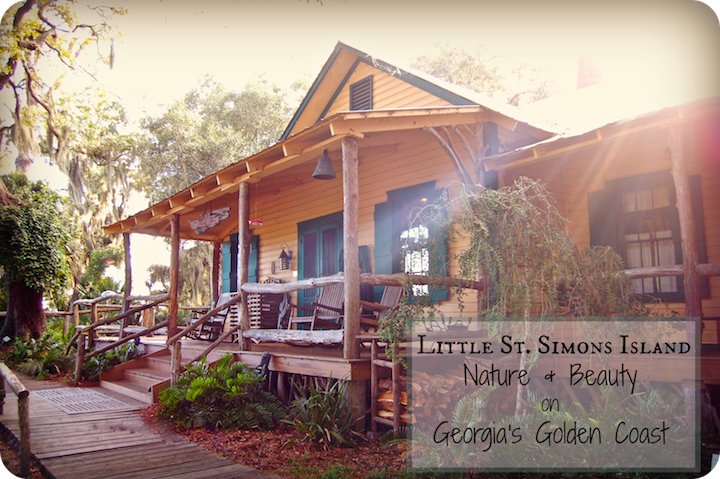 Nature & Beauty On Little St Simons Island