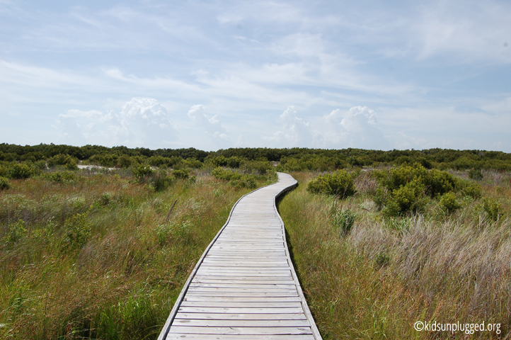 boardwalk