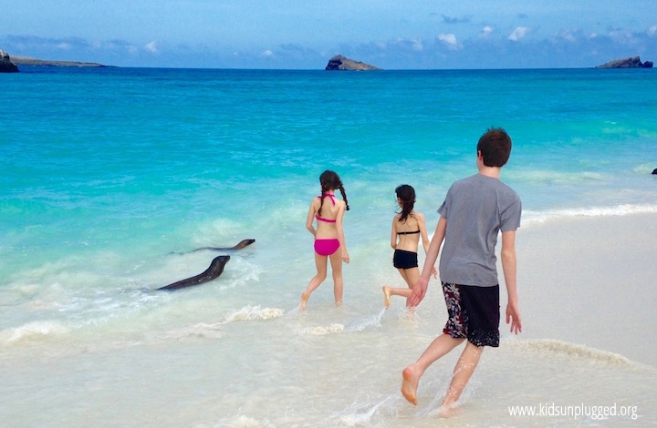 Kids on the beaches with sea lions on the Galapagos Islands