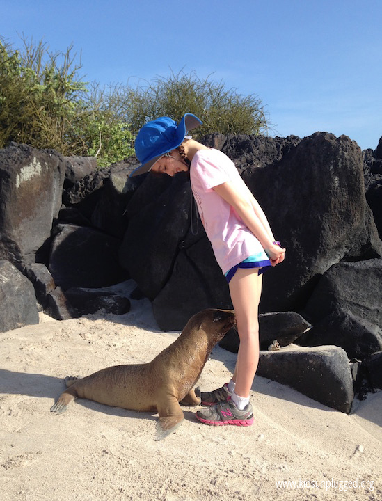 sea lions like to visit on the Galapagos Islands