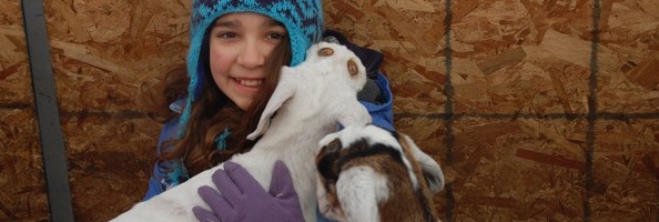 Visiting the Kids! A Winter Day with the Goats at Edgwick Farm