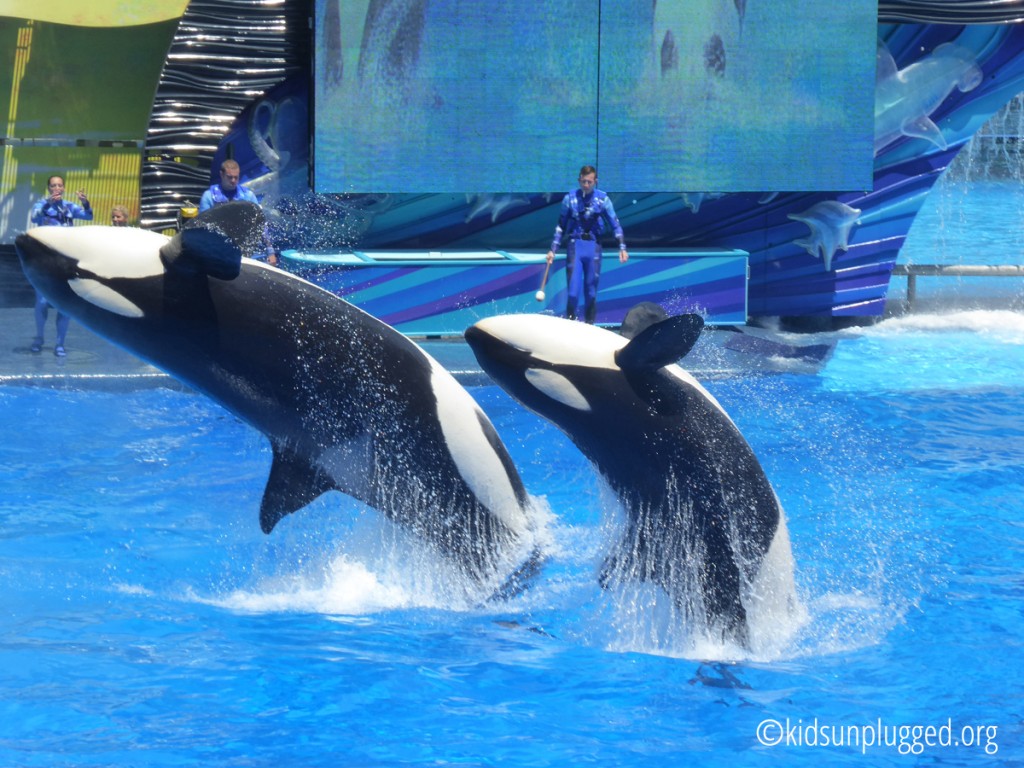 Confessions Of A SeaWorld Skeptic | Kids Unplugged